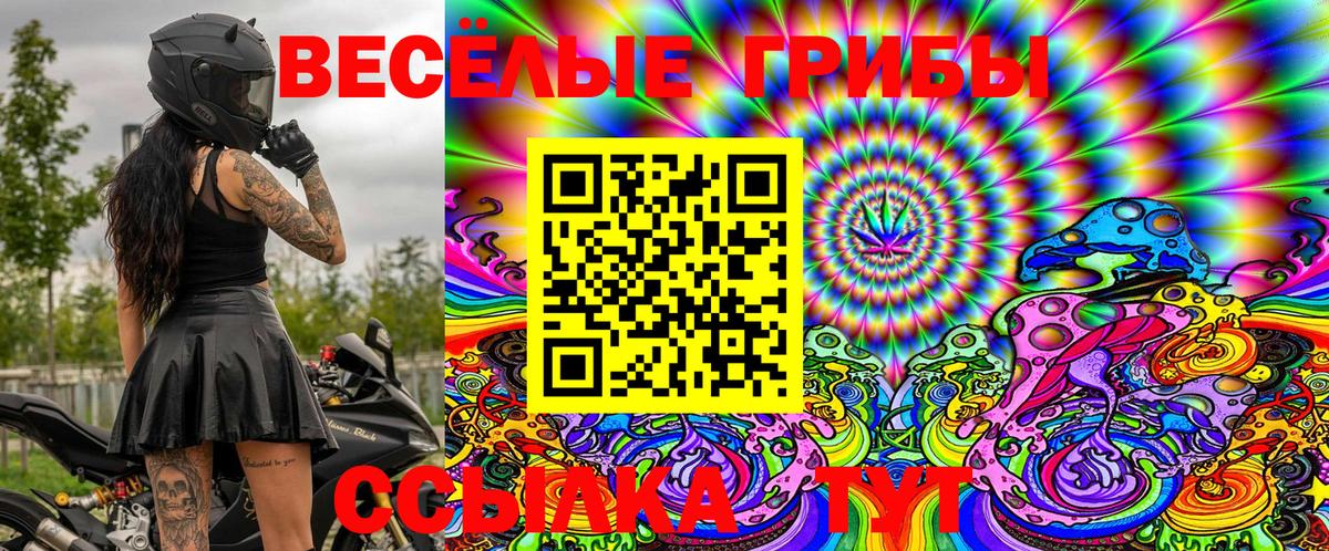 Псилоцибиновые грибы ЛСД  Гусиноозёрск 